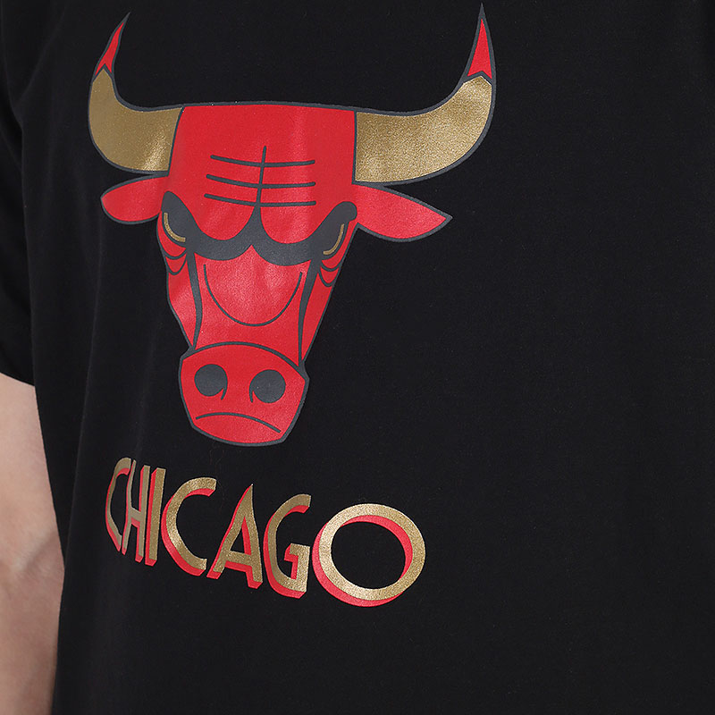 Мужская футболка Nike NBA Dri-FIT Chicago Bulls Logo Tee (CT9440-010)  - цена, описание, фото 2